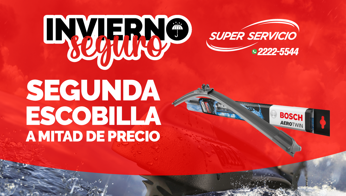 Segunda escobilla BOSCH a mitad de precio imagen